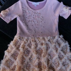 baby sara Dresses - A beautiful toddler pink and champagne dress baby sara Dresses - A beautiful toddler pink and champagne dress